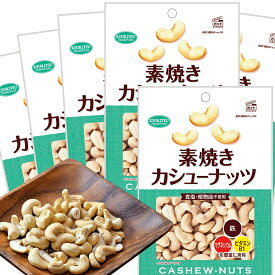 カシューナッツ徳用 素焼き185g 6袋セット 送料無料 共立食品 無塩 植物油不使用