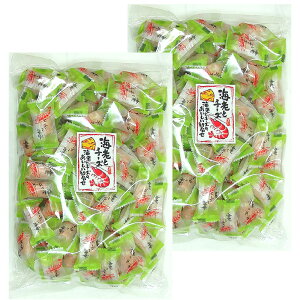 CV&`[Y 250g 2܃Zbg@ 菤X  ܂ CVƃ`[Y