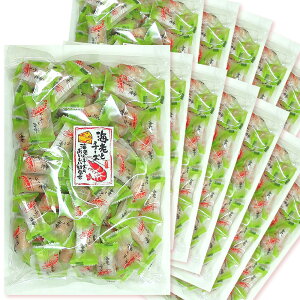 CV&`[Y 250g 12܃Zbg@ 菤X  ܂ CVƃ`[Y