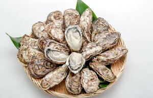 Yn LY kt 3kg(18`24) N[ Mp {ߊCŊlꂽ嗱  JL y ()A~XC