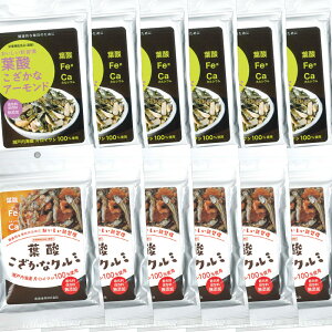  t_  A[hAN~Zbg e6 v12܃Zbg CY h{@\Hi ˓CY tau L yY A[h A[htBbV َq ibc