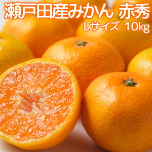 L ˓cY ݂ ԏGL 10kg i  s꒼