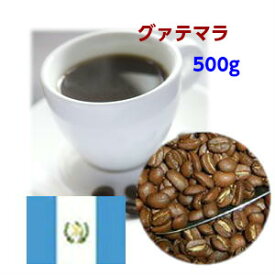 自家焙煎コーヒー「グァテマラ」500g