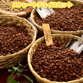 送料無料！選べるストレート1.2kgの自家焙煎コーヒー豆「ストレートチョイスセット」