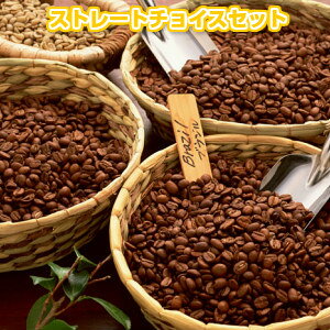 送料無料!選べるストレート1.2kgの自家焙煎コーヒー豆「ストレートチョイスセット」