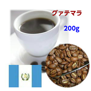 値引き 限定タイムセール 自家焙煎コーヒー グァテマラ 200g