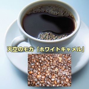 コーヒー デポー コーヒー豆 ふるさと割 100g10P01Mar15 天空のホワイトキャメル