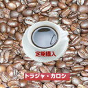 幻のコーヒー「トラジャ・カロシ」たっぷり1.2kg（約120杯分）送料無料！