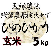 楽天市場】広島県 ヒノヒカリ（米・雑穀｜食品）の通販