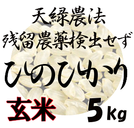 【送料無料（一部地域除く）】 藍藻育ち　天緑農法 ひのひかり 5kg 残留農薬250項目、放射能測定も、すべて検出せず 藍の舞 あいのまい 高LPS 無農薬米 あす楽対応 広島 【送料無料（一部地域除く）】令和5年度産　2023