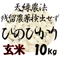 楽天市場】広島県 ヒノヒカリ（米・雑穀｜食品）の通販