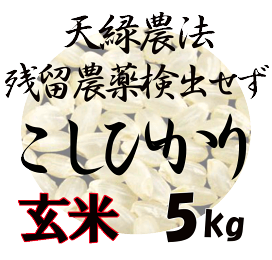 楽天市場】進撃の巨人 ルーアックモア 2012 8年 シェリーバット 63.8度