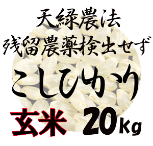 炿 VΔ_@ Ђ 20kg c_250 ˔\ ׂČo ̕ ̂܂ LPS c_[ yΉ L yiꕔn揜jzߘa6NxY 2024