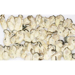 AEgbg L y ԓoCY ނg LYN 300g` Mp  JL ƒp