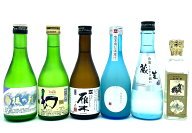 【送料無料（一部地域除く）】 他所にない冷酒　飲み比べセット　たっぷり6本をセットでお届け [300ml×5…