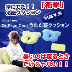 【Dr-Erugo-Cool】うたた寝クッション　結晶で冷やす　ホールド　冷却マット　付き　冷感マット　クールマット　冷感　ひんやり　冷却　クッション　冷たい　洗える　カバー　ギフト　プレゼント　02P03Dec16