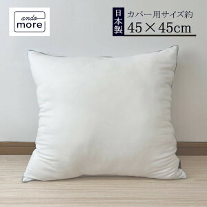 �y�ԕi�ۏ؁z�y�@�\�N�b�V�����u�����handmore??�z �N�b�V�������g 45x45cm �N�b�V�����{�� ���{�� 2way �j�b�g �k�[�h�N�b�V���� ���g �j�b�g �N�b�V���� �{�� 45x45 ��l�N���X�^�[ ���� �H�� �N