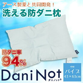 【期間限定半額】アース製薬と共同開発防ダニ枕【Dani Not】パイプまくら43x63cm 人体に安全な防ダニ不織布を肌に触れない構造で組み込みました！ アレルギー アレルゲン対策に！洗濯可能 通気性抜群 ザクザク ぼうだに 壁蝨 マクラ 寝具 対策 防虫