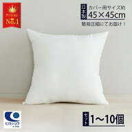 ＼楽天ランキング 1位／ 日本製 ヌードクッション ( 45×45cm ) 1個 2個 4個 6個 8個 10個 セット クッシ…
