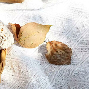 W[V[g sNjbNV[g SNSf k ܂肽 sNjbN y  Ԍ  Lvpi ʐ^B̔wi zCg