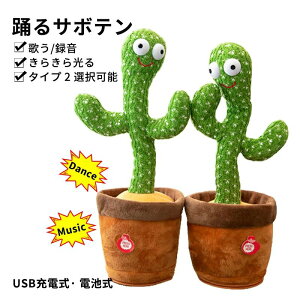  ʂ  x T{e USB[d dr ̂T{e ^ ťJԂ LEDƖt  p̉̕t dr VFCN _VO JN^X ʂ T{e 