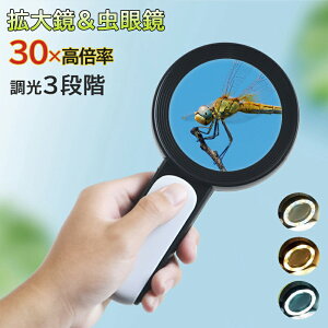 g勾@{@30{ LEDCgt ዾ [y ₷ g僌Y 3iK [y 莝[y Ǐ[y y Ǐ ώ@ ΊӒ  蕨 