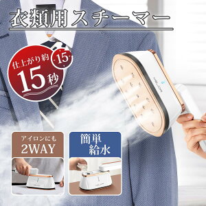 �A�C���� �y�� ��e�ʃ^�C�v ���S���u���� �ƒ�p �o���p �A�C���� �X�`�[�� �X�`�[���A�C���� �ߗރX�`�[�}�[ ���̓X�`�[�� �V���L�΂� 15�b�����オ�� ���R��h�~ �R���p�N�g 1��2�� ���� 