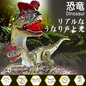   d {bg WR  {bg WRRt 􂦂  唗 tBMA  tBMA A LEDCg [gRg[ _Ci\