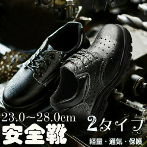 SC ƌC  Y Z[teB[V[Y ɂ Xj[J[ Z[teB[V[Y V[Y |c ܐی X|[cV[Y [Jbg h SV[Y 