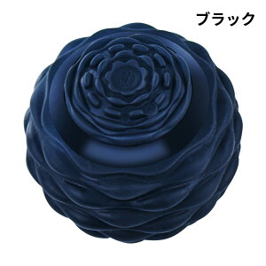 Xgb`{[ U{[ K{[ nfB R[hX r  K ӂ͂  tH[[[ ؖ[X p[EF[u{[ RfBVjO{[ U d w