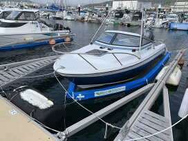 imgrc0080927211.jpg?fitin=272:272 