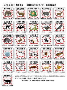 yyVz1̔ QbQ XebJ[ x V[ 24cm×24cm { p  ؍ ϐ F JX XYo` T VJ wr }_j PV NQ nNrV ACO} ǌ 