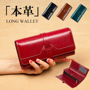 z z fB[X EHbg OEHbg {v U[  @\z  K J[h e ޏ  o^Cf[ ̓ hV̓ a NX}X Mt