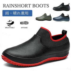 CV[Y Cu[c Y V[gu[c h y ~ V[g JC J ~J΍ J̓ ނ K[fjO  ƌC 䕗 ʋ ʊw 傫TCY 24.0 24.5 25.0 25