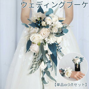 EFfBOu[P u[P ԁyPizyO_Zbgzyu[PEXgu[PEu[gjAz ԑ uC_u[P u[gjAEXgu[P RT[W  ԉ  ^