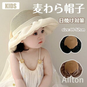 Xq Xq ̎q xr[ LbY Xg[ nbg xr[Tnbg [X 悯 Xq ΍L  qp y ʋC Ăh~ t TCY o U 