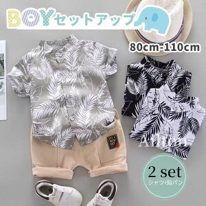 LbY ZbgAbv 2_Zbg  Rbg  xr[ j̎q q Vc Zp pc C r[`X^C  ʋC  Ԃ t a ʉ ʊw 1 2 3 80cm 90cm 100c