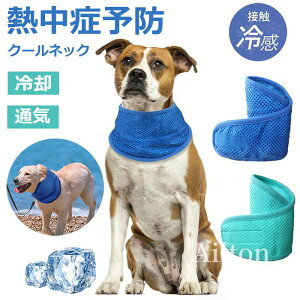  N[lbN ΍ 2025Nf N[Xk[h pEFA Up   Ђ|` Ȃ ₷ ʋC p ⊴ TCY߉\ MǗ\h Ђ^I 