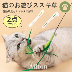 【2点セット】猫じゃらし 猫おもちゃ ねこじゃらし 猫のお遊び ススキ草 鈴 釣り竿 運動不足解消 ストレス解消 頑丈 1本釣竿付き 一人遊び 超軽量 室内運動に最適 人気 グリーン 頑丈