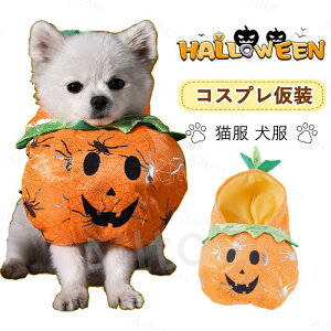  L RXv ybg RX`[ J{` ^p Lp hbOEGA nEB[ EȒP ʔ  뉼 ϑ nEB NX}X p[eB[ ʐ^Be Cx