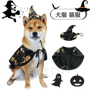  nEB RXv  RX`[  Xq }g ^ L lR  ϑ nbg |` P[v ybgEFA p[eB[ RXv ʐ^Be