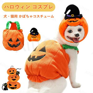 ハロウィン 犬 猫 コスプレ コスチューム かぼちゃ 犬の服 ペット服 帽子 小型犬 中型犬 仮装 被り物 可愛い 面白い 変身 ペットウェア パーティー イベント 写真撮影
