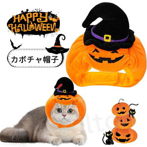 nEB  L Xq RXv RX`[ ڂ RXvLbv ^ ^  蕨  ʔ ϐg ybgEFA p[eB[ Cxg ʐ^Be