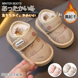 xr[u[c [gu[c ̎q j̎q N LbYV[Y V[gu[c hC   Xm[u[c qC c  ₷ ~ ۉ ʉ ʊw H~V