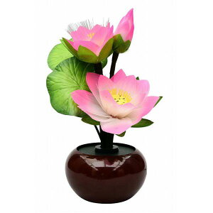 ~ _ n삠ǂ  @ؓ s ~ V~ ~ ǂ 򕌒  