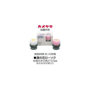 J} @̉ԃ[\N F1yA 낤 ~ V~ ~ ފ  