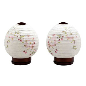 �~�� ���_�� �n�삠��ǂ� �ق̂���1�� SAKURA �R�[�h���X �Γ� 1�� 2�Z�b�g �~���傤���� �s�� ���~ �V�~ ���~ ����ǂ� �򕌒� ����� �������
