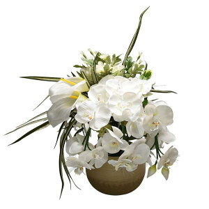 ~ ~傤 _ n삠ǂ AW Ӓ s ~ V~ ~ ǂ 򕌒  