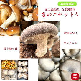 【極上のきのこセット】毎日数量限定 茸農家 直送 きのこセット A ひるぜんきのこ 極上 国産 無農薬 しいたけ ひらたけ なめこ 新鮮 人気 おすすめ 贈答用 お歳暮 贈り物 ギフト 送料無料