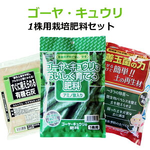 S[ELE1p͔|엿Zbg@@@@@@yƒ؉@S[@LE@엿z